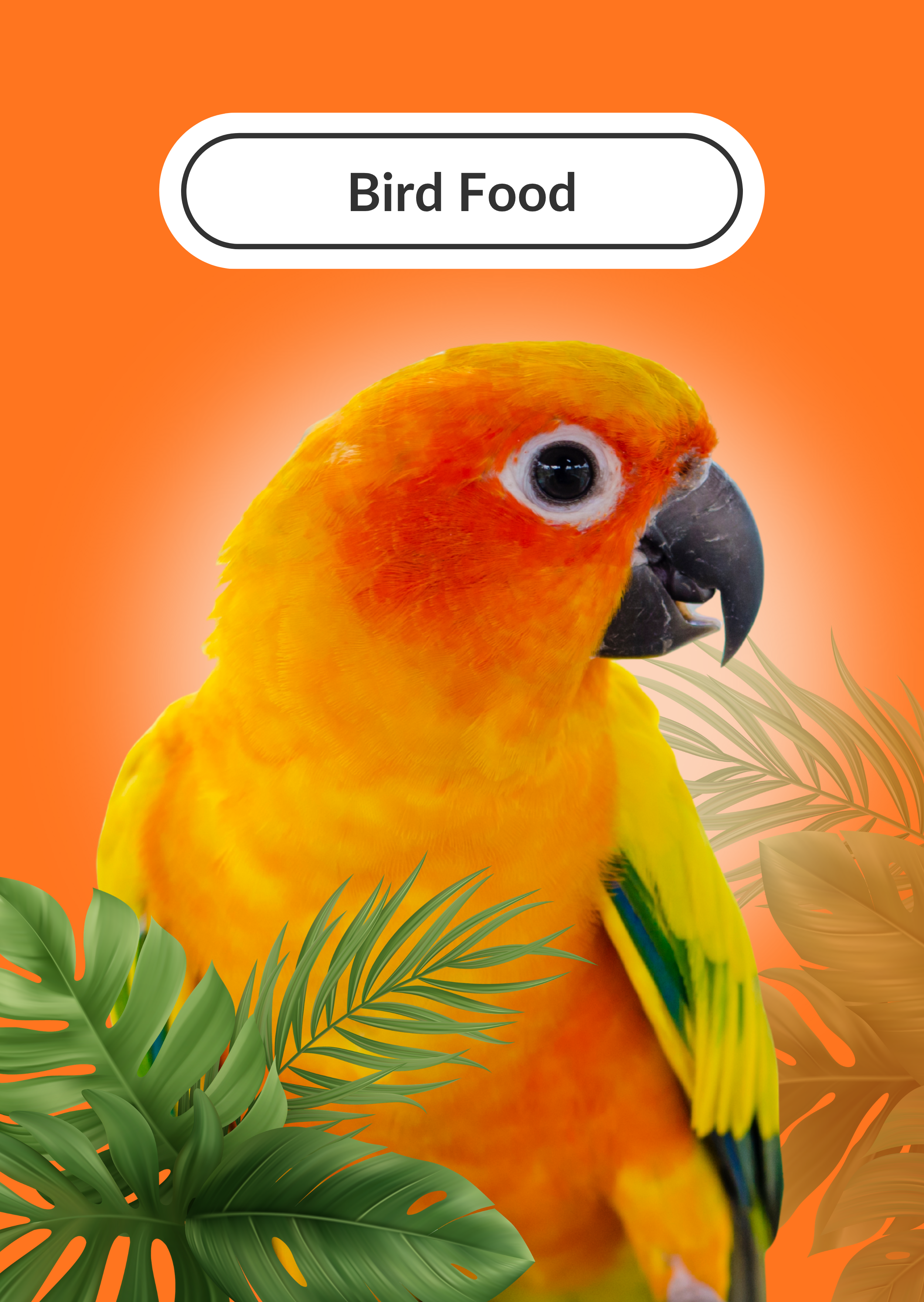 Bird Food – South Australian Bird Company